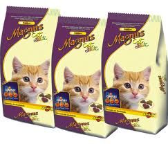 MAGNUS CAT FILHOTE