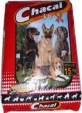 CHACAL ADULTO