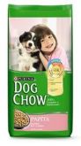 DOG SHOW (PAPITA)