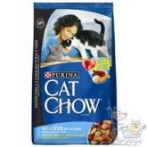 CAT SHOW ADULTO