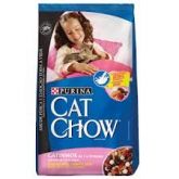 CAT SHOW FILHOTE