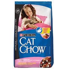 CAT SHOW FILHOTE